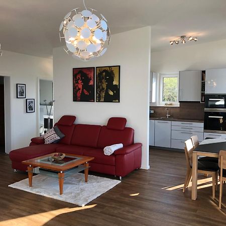 A&N Prestige Apartments "Attika" Close To Basel And Rhine River グレンツァッハ・ヴィレン エクステリア 写真